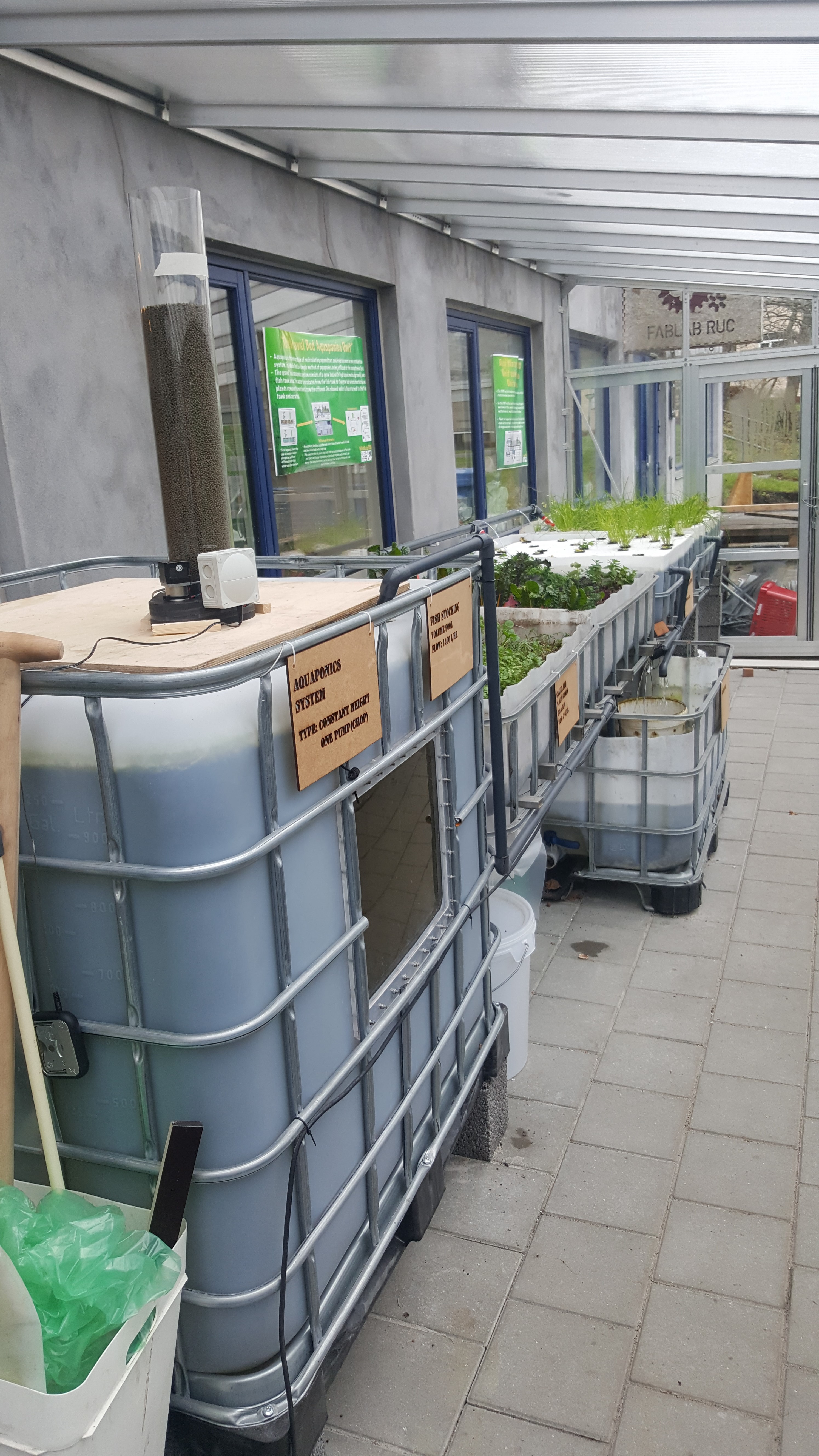 The Aquaponics system