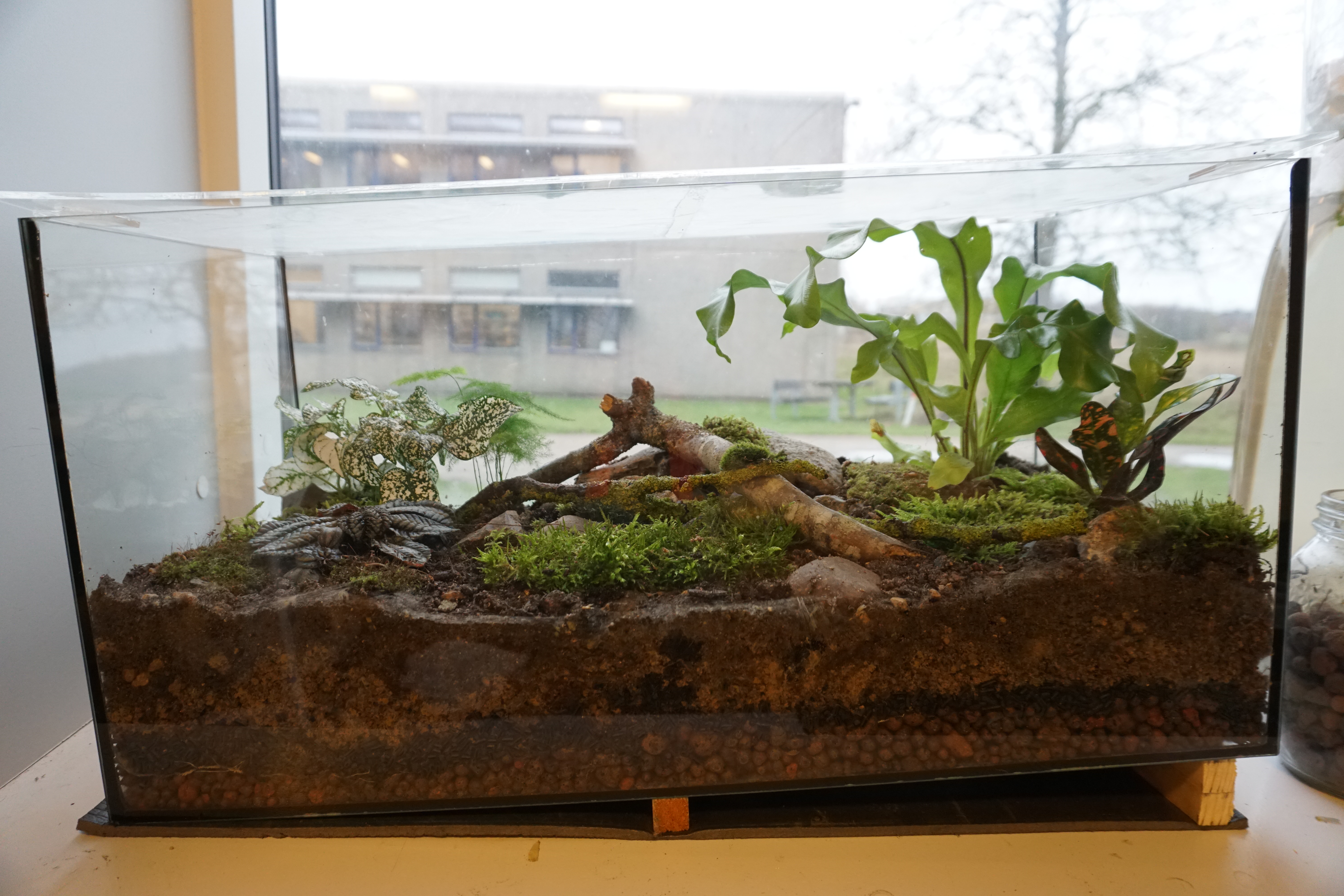 Design a closed ecosystem terrarium